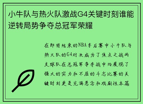 小牛队与热火队激战G4关键时刻谁能逆转局势争夺总冠军荣耀